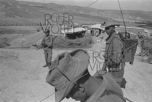 Roger-Viollet | 472987 | Algerian War of Independence. Harkis from the fort of M'Zaourat during a routine operation. They belonged to the 158th Infantry Batalion based in Mascara. Algeria, Summer 1961. | &copy; Jean-Pierre Laffont / Roger-Viollet