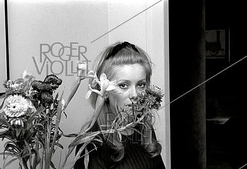 Roger-Viollet | 1644022 | Catherine Deneuve (born in 1943), French actress. Paris, circa 1960. Photograph by Philippe R. Doumic (1927–2013). | &copy; Philippe R. Doumic / Roger-Viollet
