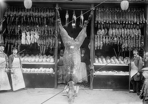 Roger-Viollet | 1007089 | Chameau exposé à la devanture d'un marchand de gibier et de volaille. Paris. 1908. | &copy; Maurice-Louis Branger / Roger-Viollet