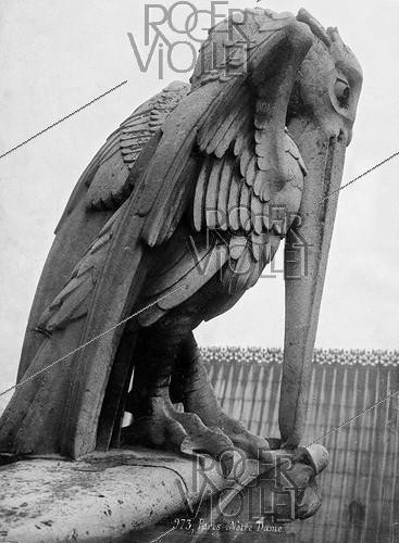 Roger-Viollet | 758908 | Chimera (bird) from Notre-Dame Cathedral, Paris. | &copy; Léopold Mercier / Roger-Viollet