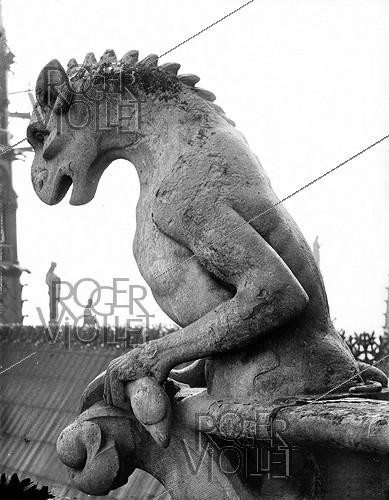 Roger-Viollet | 994312 | Chimère de la cathédrale Notre-Dame de Paris. | &copy; Léopold Mercier / Roger-Viollet