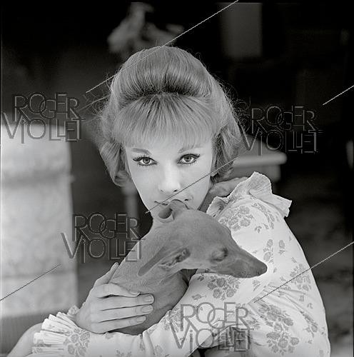 Roger-Viollet | 1644054 | Dany Saval (born in 1942), French actress, 1960s. Photograph by Philippe R. Doumic (1927–2013). | &copy; Philippe R. Doumic / Roger-Viollet