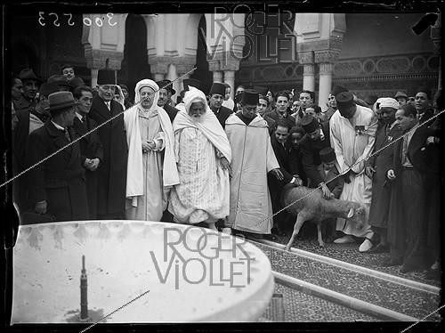 Roger-Viollet | 1065070 | Fête de l'Aïd el Kébir à la Grande Mosquée de Paris (cérémonie religieuse où est sacrifié un mouton). Avec la présence de Mahmoud Fakhry Pasha (1884-1952), ambassadeur d'Égypte en France, de Si Kaddour ben Ghabrit, habillé en burnous (1868-1954), haut fonctionnaire algérien et fondateur de l'Institut musulman de la Grande Mosquée de Paris et de Galandou Diouf (1875-1941), député sénégalais. Paris (Ve arr.), 31 janvier 1939. Photographie du journal « Excelsior ». | &copy; Excelsior - L'Equipe / Roger-Viollet