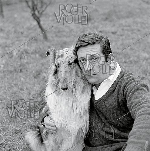 Roger-Viollet | 1644129 | Jean Rochefort (1930–2017), French actor, 1960s. Photograph by Philippe R. Doumic (1927–2013). | &copy; Philippe R. Doumic / Roger-Viollet