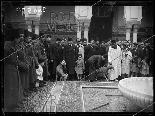 Roger-Viollet | 644419 | Kaddour ben Ghabrit, president of the Société des Halbous and Morocco’s minister plenipotentiary, during Ait el Kebir at the Grand Mosque of Paris. Paris (5th arrondissement), February 11, 1938. Photograph from the newspaper Excelsior. | &copy; Excelsior - L'Equipe / Roger-Viollet