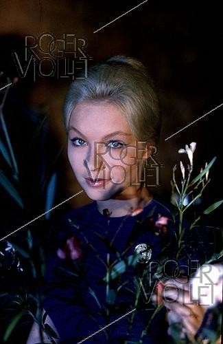 Roger-Viollet | 646353 | Marina Vlady, French actress. August 1959. | &copy; Bernard Lipnitzki / Roger-Viollet