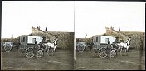 Roger-Viollet | 627899 | Palma (island of Majorca, Balearics, Spain). Traditional horse-drawn carriage. Around 1895. | &copy; Léon & Lévy / Roger-Viollet