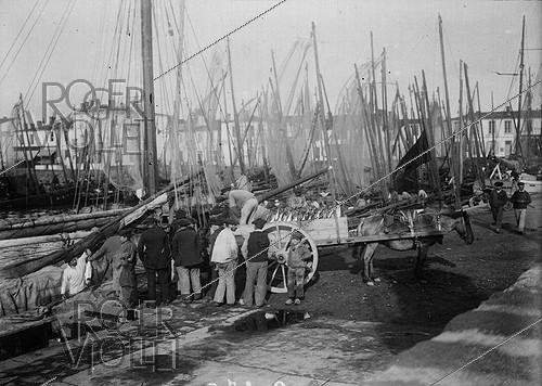 Roger-Viollet | 772594 | Retour de la pêche dans un port breton, vers 1905. | &copy; Maurice-Louis Branger / Roger-Viollet