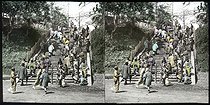 Roger-Viollet | 610247 | Sacred stairway. Tokyo (Japan). 1900-1905. Stereoscopic view. | &copy; Léon & Lévy / Roger-Viollet