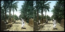 Roger-Viollet | 214045 | View of Old Town of Biskra (Algeria). | &copy; Léon & Lévy / Roger-Viollet