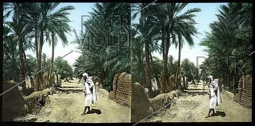 Roger-Viollet | 214045 | View of Old Town of Biskra (Algeria). | &copy; Léon & Lévy / Roger-Viollet