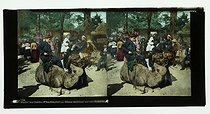 Roger-Viollet | 470086 | Women getting on a camel. Paris (16th arrondissement). Jardin d'Acclimatation, circa 1890. Stereoscopic view. | &copy; Léon & Lévy / Roger-Viollet