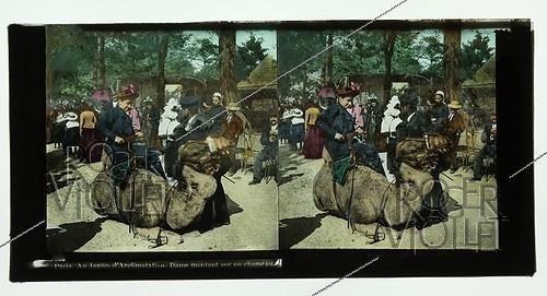 Roger-Viollet | 470086 | Women getting on a camel. Paris (16th arrondissement). Jardin d'Acclimatation, circa 1890. Stereoscopic view. | &copy; Léon & Lévy / Roger-Viollet